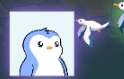 P B G